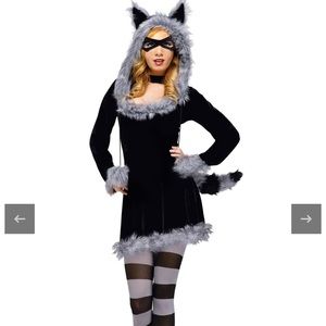 Women’s racy raccoon Halloween costume